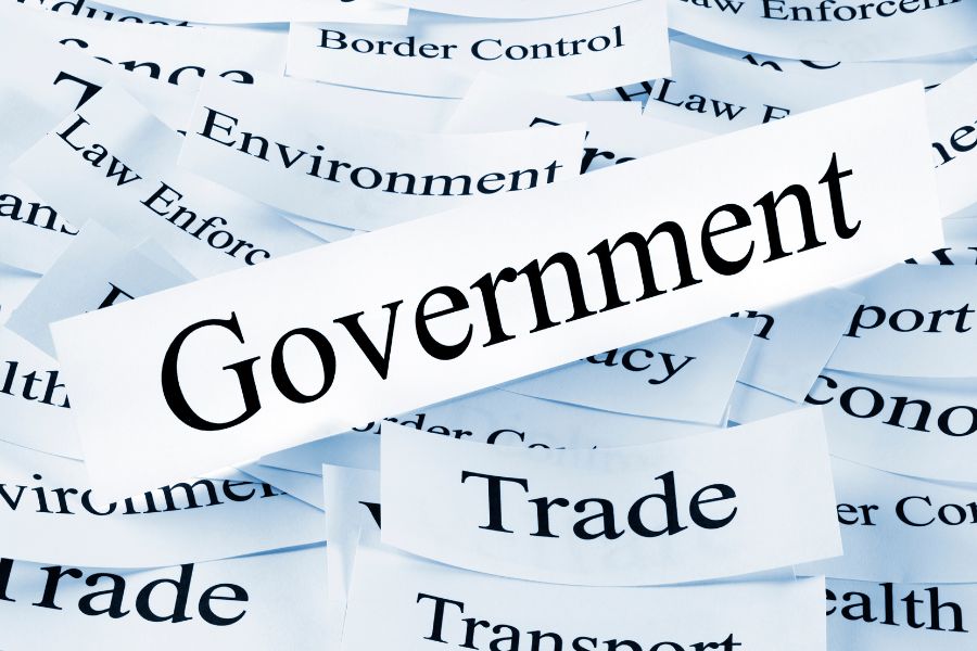 government